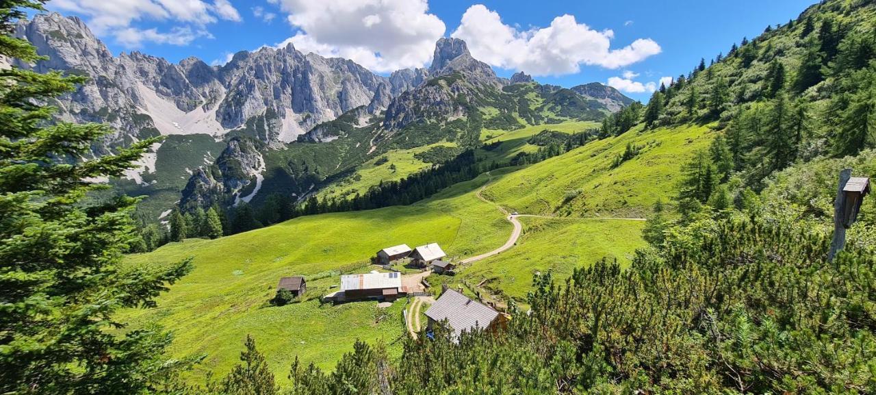 Alpenhaus Donnerkogel Leilighet Annaberg im Lammertal Eksteriør bilde
