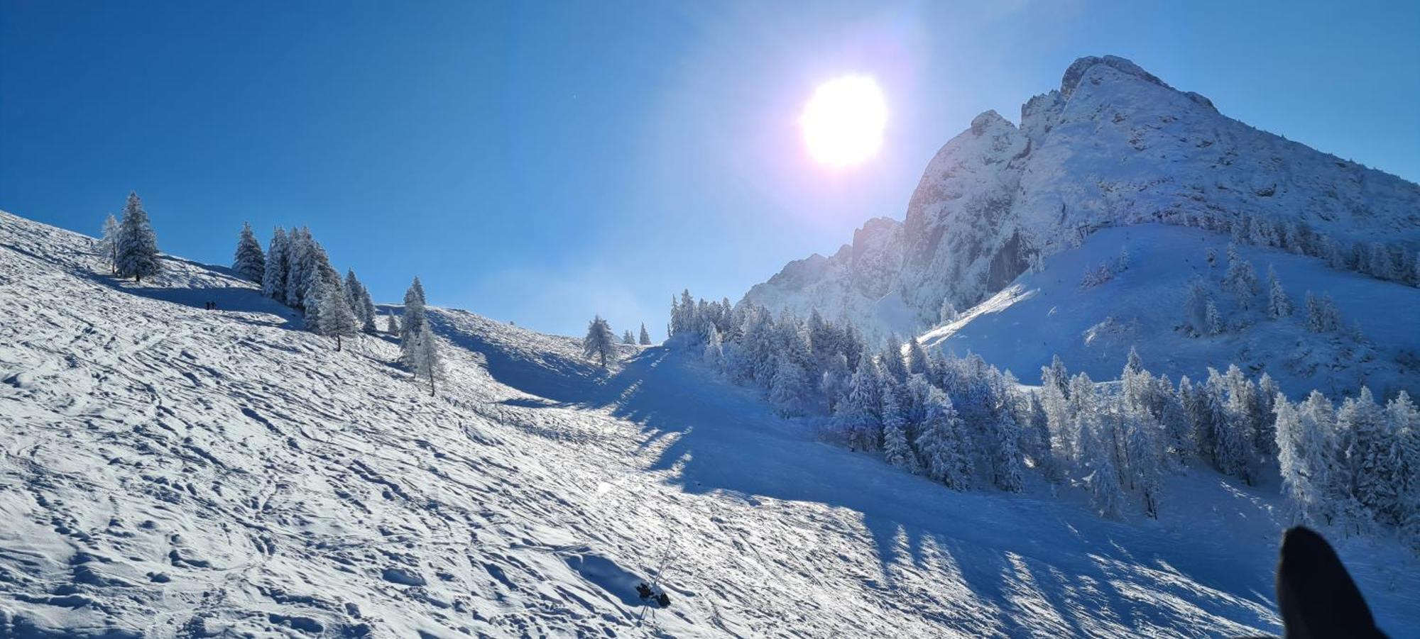 Alpenhaus Donnerkogel Leilighet Annaberg im Lammertal Eksteriør bilde